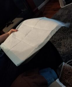 IRIS USA Small Pet Training Pad Holder, Dark Gray 17"x17" 42 71rySmr9u L