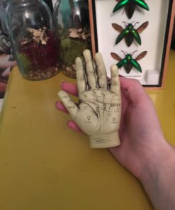 1 X Palmistry Hand by AzureGreen 42 71rz7dqWDNL
