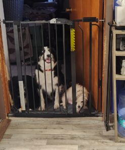 Regalo Easy Step Extra Tall Walk Thru Baby Gate, Bonus Kit, Includes 4-Inch Extension Kit, Pressure Mount Kit and Wall Cups and Mounting Kit, Black, 4 Count (Pack of 1) 17 71s5QjDzNaL