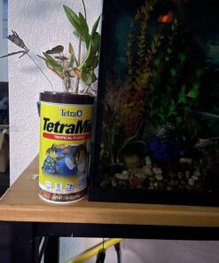 Tetra 16106 Min Tropical Flakes, Nutritionally Balanced Fish Food, 7.06-Ounce 7.06-ounce (Pack of 1) 35 71s8uoS6RNL