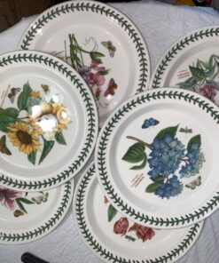 Portmeirion Botanic Garden Dinner Plate | Set of 6 Dinner Plates | Assorted Floral Motifs | Dishwasher, Microwave, & Oven Safe | 10.5 Inch | Made in England 21 71sA7WmtkgL 2