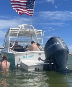 American Flag 3x5-100% Made In USA using Tough, Long Lasting Nylon Built for Outdoor Use, Featuring Embroidered Stars and Sewn Stripes plus Superior Quadruple Stitching on Fly End 3 by 5 Foot 31 71sAbxuo5lL