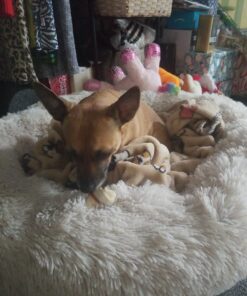 GOOD 'N' FUN Triple Flavor Chews, Rawhide Treats for Dogs 6 Count (Pack of 1) 25 71sBUXQw6rL