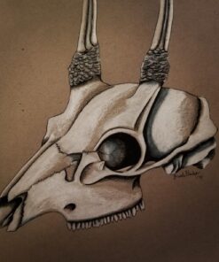 Prismacolor Colorless Blender Marker , Individual, Clear 19 71sETLohuHL