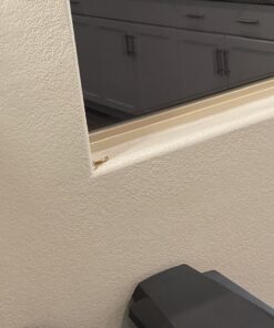 TERRO Scorpion Killer Aerosol Spray T2101 1 Pack 40 71sEYpTW7 L