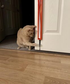 MOODY PET Fling-AMA-String Cat Toy Basic 14 71sH2KscntL