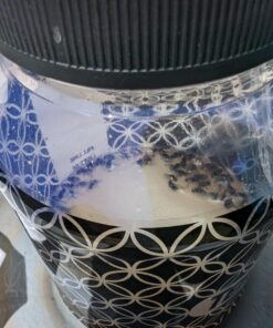 TERRO T380 Outdoor Reusable Fly Magnet Fly Trap - Poison Free Fly Killer and Trap with Bait 40 71sH93gK2nL