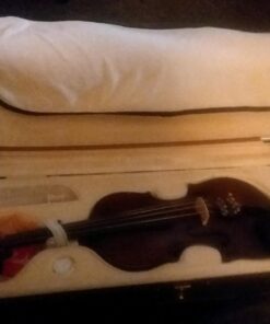 Cecilio CVN-EAS Ebony Fitted Solidwood Violin in Satin Antique with Deluxe Oblong Hard Case Size 4/4 (Full Size) full-size 15 71sKFbTFahL