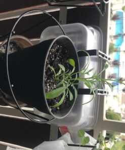 Panacea 89049 Ring Over The Deck Adjustable Flower Pot Holder, Black, 8-Inch 21 71sMMPZQJRL