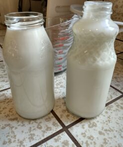 Live Milk Kefir Grains - Live Probiotic Culture Mr. and Mrs. Kefir Instructions 24 71sRnc0SSHL