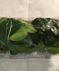 Fresh Kaffir Lime Leaves (Thai Lime Leaves) 1 Oz. ใบมะกรูด, 28 71sRsWj3QuL