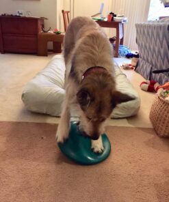 Intex Prestige Downy Airbed Kit with Hand Held Battery Pump, Twin 21 71sSLcatKDL