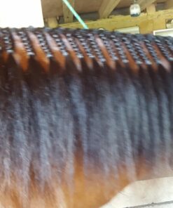 Exhibitor's Quic Braid for Total Mane & Tail Control 16 oz Spray 13 71sSOSrlWRL