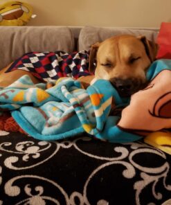 Blueberry Pet Chic Argyle All Over Dog Sweater in Navy Blue, Back Length 20", Pack of 1 Clothes for Dogs 20 inch (Pack of 1) Argyle Navy Blue 22 71sSqPJA bL 1