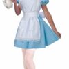Forum Alice In Wonderland Alice Costume, Blue, Standard