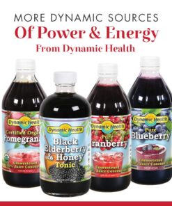 Dynamic Health Blueberry Cncntrt : 95998: Liq, (Btl-Plastic) 8oz 9 71sTnZp0YZL