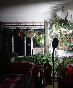 Lavish Home (72-0890) 5 Feet Sunlight Floor Lamp With Adjustable Gooseneck - Black 25 71sV8Akr20L