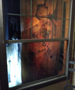 Forum Novelties Photo-Realistic Zombie Door Cover, Multicolor 13 71sXosw0cBL