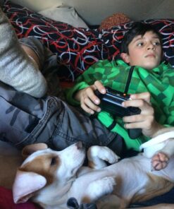 Xbox One Special Edition Armed Forces Wireless Controller 14 71sY9gD37xL