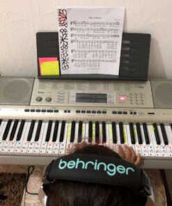 Behringer HPM1000 Multi-Purpose Headphones, Gray 25 71sYdyAgjAL