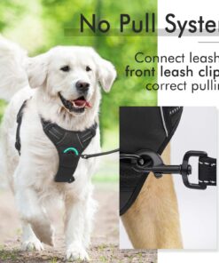 rabbitgoo Dog Harness, No-Pull Pet Harness with 2 Leash Clips, Adjustable Soft Padded Dog Vest, Reflective No-Choke Pet Oxford Vest with Easy Control Handle for Large Dogs, Black, XL X-Large 33 71sa1znCFOL