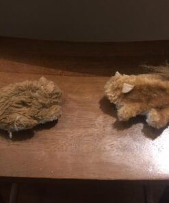 KONG Squirrel Catnip Toy Brown 30 71saFLjl hL