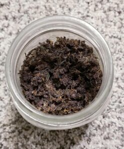 AgroMagen, GrowSafe Bio-Pesticide For Spider, Organic Natural Miticide, Fungicide and Insecticide, (8.5 fl.oz.) 8.5 Fl Oz (Pack of 1) 38 71scQBE9yZL