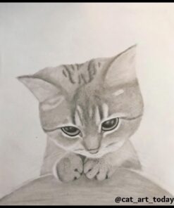 Premium Quality Sketch to Shade Art Supplies 37 Pcs Art Set | Includes Exclusive Drawing Tutorials Ready as Birthday Gifts, Holiday Gifts, Artist Gifts, Celebrations with Art Gifts for a Scetch Lover 37-Piece 42 71scyXipNLL