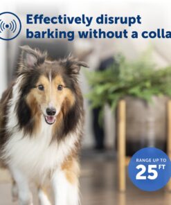 PetSafe Indoor Ultrasonic Dog Bark Control - No Collar Needed - Up to 25 ft Range - Anti-Bark Pet Training System - Automatic with Manual Trainer Button One Size 20 71seHNPOEyL