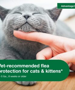 Advantage II Kitten Vet-Recommended Flea Treatment & Prevention | Cats 2-5 lbs. | 2-Month Supply 24 71seywgB6bL