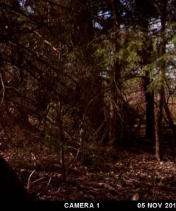 Wildlife Research Center Scrape Dripper Only 17 71shiyD0FPL