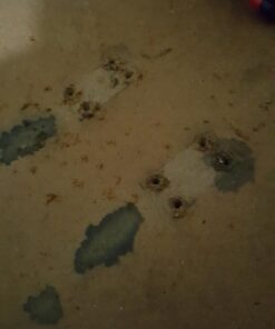 System Three T-88 Epoxy Adhesive, 0.5 Pt Bottle, Amber 21 71sm80dZpqL