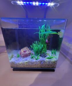 MarineLand Contour Glass Aquarium Kit with Rail Light 3-gallon 39 71smf0GiK2L