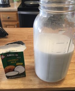 Aroy-D Coconut Milk 8.5 Fl Oz (Pack of 12) 30 71sn 2lRzaL