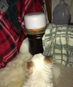 URPOWER 500ml Aromatherapy Essential Oil Diffuser Humidifier Room Decor Lighting with 4 Timer Settings, 7 LED Color Changing Lamp and Waterless Auto Shut-Off A-yellow 34 71soSoukYVL