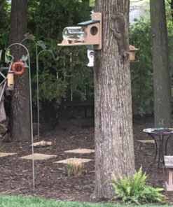 Birds Choice SNSQJAR Recycled Squirrel Jar Feeder, Squirrel Feeders, 7-1/4"L X 19"W X 15-3/4"H, Taupe w/ Green Roof 41 71spfFVV0sL