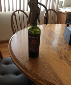 Stainless Steel Wine Opener Compact Vertical Corkscrew Wine Bottle Opener with Foil Cutter 37 71sqRGT4Q1L