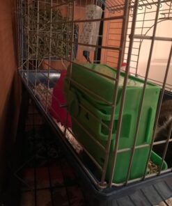 Kaytee Gravity Bin Feeder With Bracket Assorted 40 71sqpBjZxPL