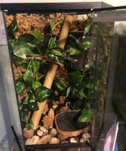 Great Stuff 283064 12OZ GS Pond&Stone Foam Sealant, Each, Black Pond & Stone 51 71suSzO1aYL