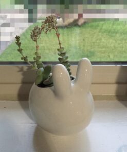 MyGift Mini Ceramic Bunny Planter, Decorative Rabbit Design White Small Flower Pot Succulent Planter with Detached Saucer 28 71sulUlGglL