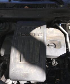 Gunk CEB1 Engine Shine Protector and Detailer, 15 Oz 15 Ounce 29 71sxSBIQziL