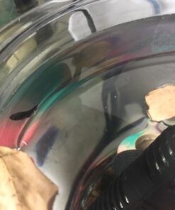 SunGrow 50 pcs Catappa Indian Almond Leaves for Betta Fish Tank Aquarium, 2” Water Conditioner Leaves, Leaf Also Suitable for Shrimp, Goldfish, Guppy and Frogs 50 Leaves 59 71szOgOthAL