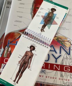 Pocket Anatomy & Physiology Spiral-bound 16 71t WFlVdbL