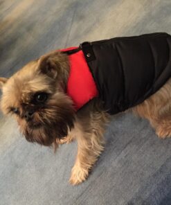 Gooby Padded Vest Dog Jacket - Red, Medium - Warm Zip Up Dog Vest Fleece Jacket with Dual D Ring Leash - Winter Water Resistant Small Dog Sweater - Dog Clothes for Small Dogs Boy and Medium Dogs Medium chest (18.25") 1 39 71t1 5aF CL