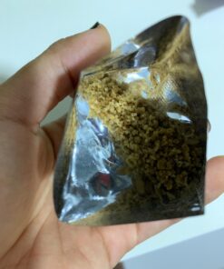 Cultures for Health Water Kefir Grains | DIY Fermented Probiotic Drink Powder for Stronger Gut Health | Heirloom Starter Makes Limitless Supply | Non-GMO Dairy Free Vegan Sparkling Water with Enzymes 0.19 Ounce (Pack of 1) 53 71t2QssP5VL