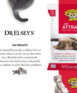 Dr. Elsey's Premium Clumping Cat Litter - Cat Attract - 99% Dust-Free, Low Tracking, Hard Clumping, Superior Odor Control, Natural Herbal Attractant, Unscented & Natural Ingredients, 40 lb 40 Lb / 18.14 Kg 23 71t3DSPj5L