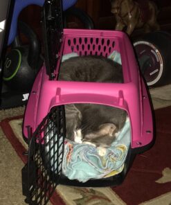 Petmate Two Door Pet Kennel for Pets up to 15 Pounds, Pink/Black, 19" Long, Made in USA Two-door 19.0"L x 13.0"W x 10.0"H 45 71tAbqsvg0L