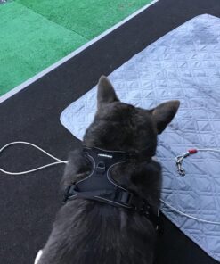 rabbitgoo Dog Harness, No-Pull Pet Harness with 2 Leash Clips, Adjustable Soft Padded Dog Vest, Reflective No-Choke Pet Oxford Vest with Easy Control Handle for Large Dogs, Black, XL X-Large 42 71tEdgI0IEL