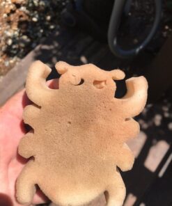 Clean Start by SilkBalance - Powerful Yet Gentle Hot Tub and Plumbing Line Flush 18 71tEz585YeL