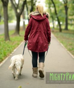 Mighty Paw Dual Handle Dog Leash - Reflective Lead with Two Handles - Dual Dog Leash Long - 2 Handle Dog Lead - Dog Leash with Traffic Loop Dog Leash 6 Foot (Grey/Green) Grey/Green 28 71tGYBOKeNL